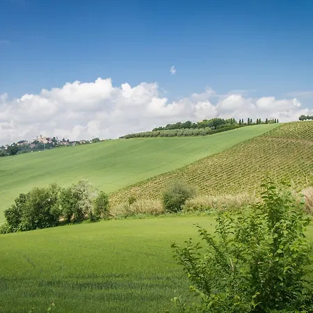 Bed & Breakfast Il Gladiolo